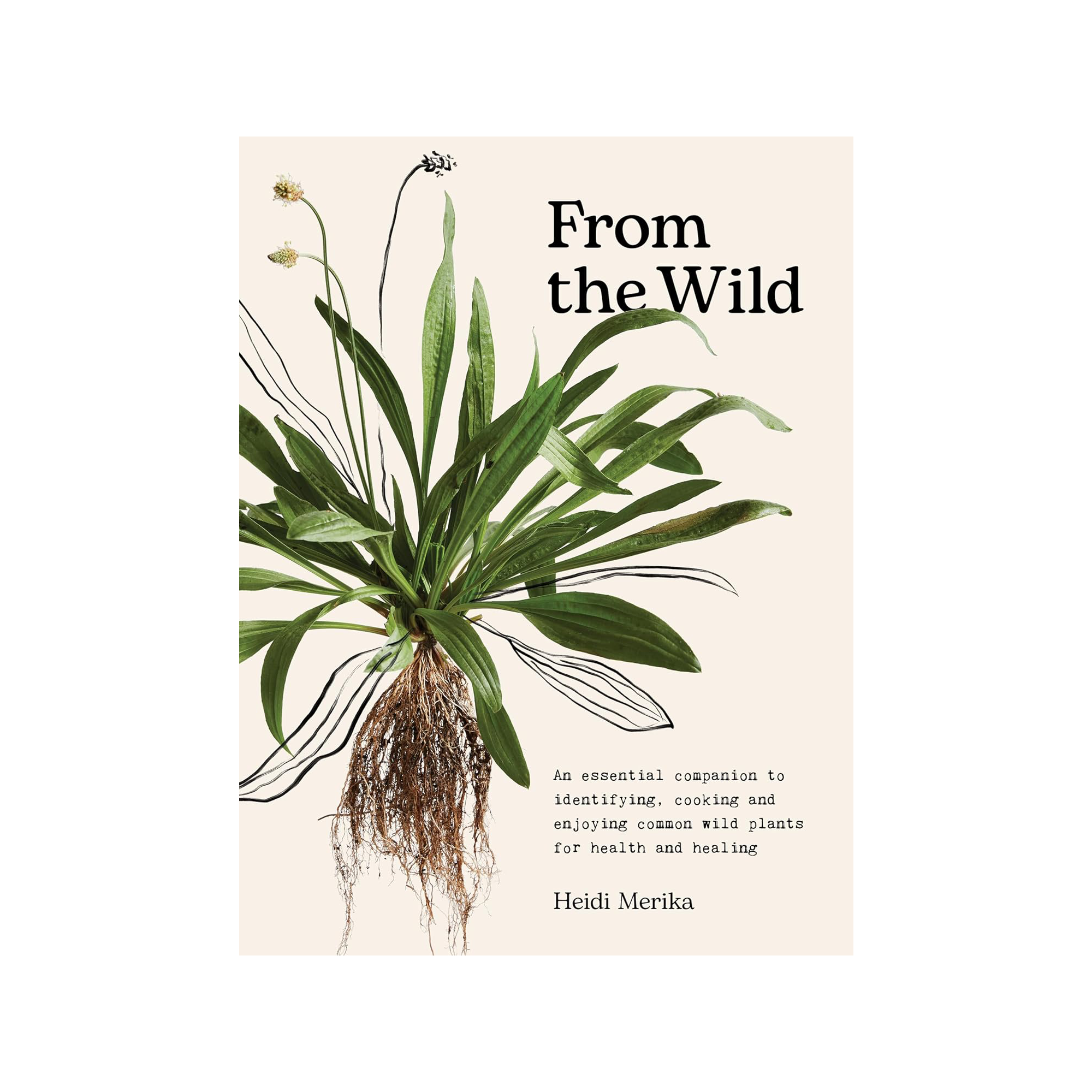 From the Wild