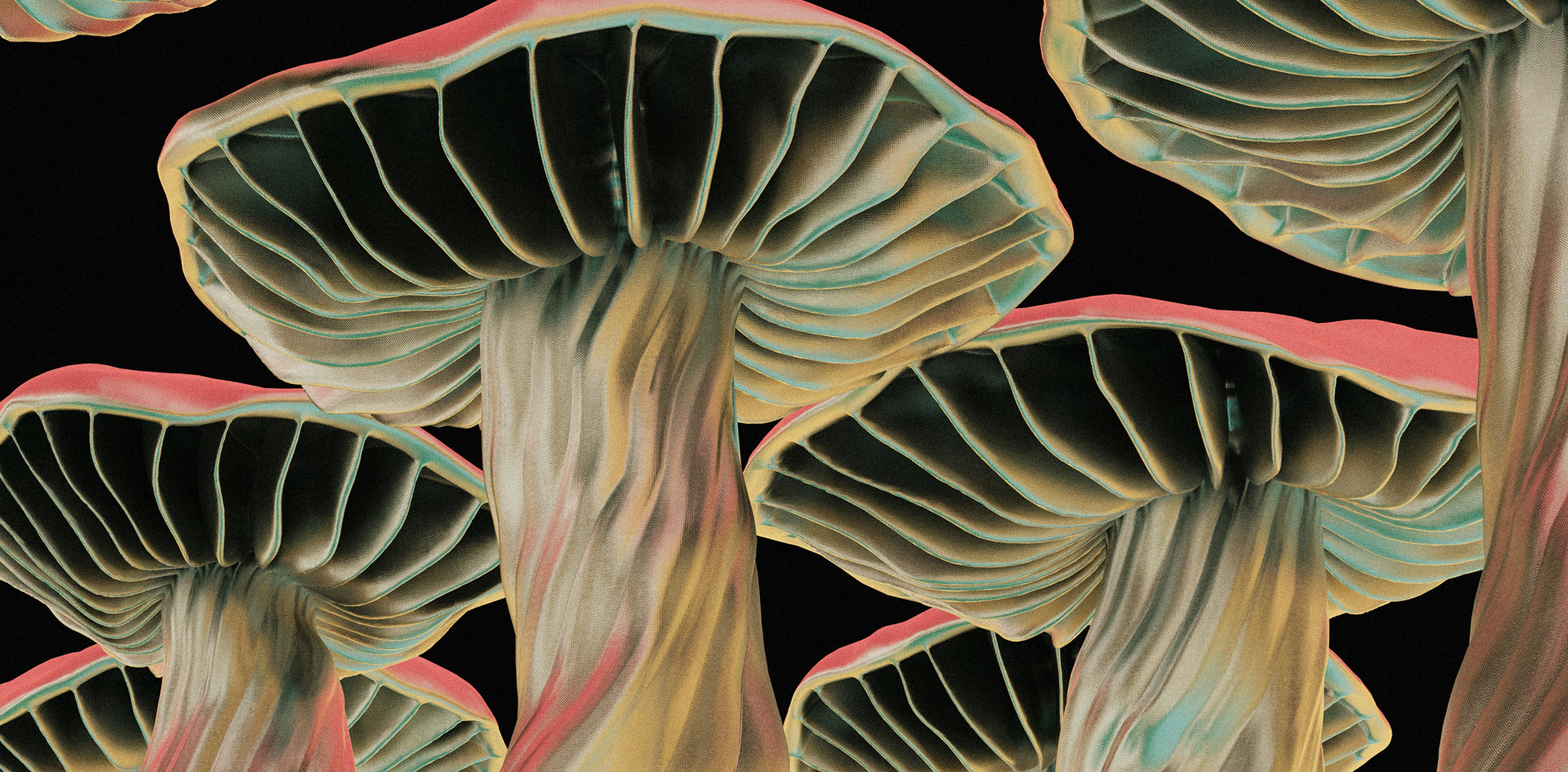 The Real Magic of Mushrooms