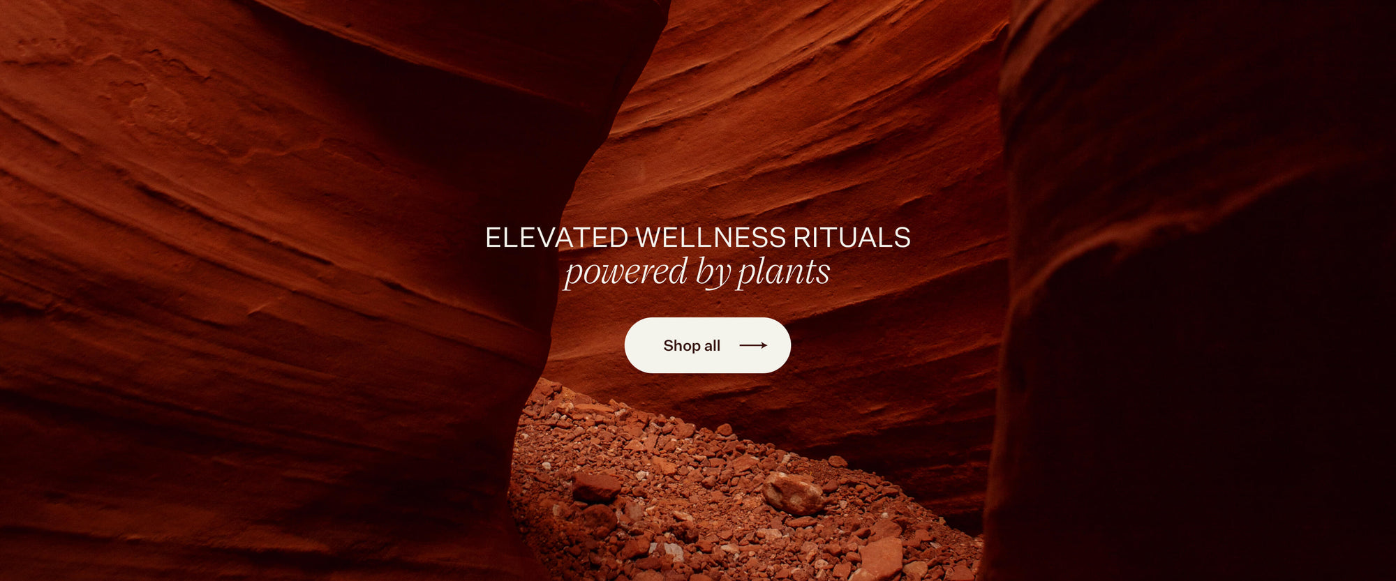 ELEVATED WELLNESS RITUALS Powered by plants